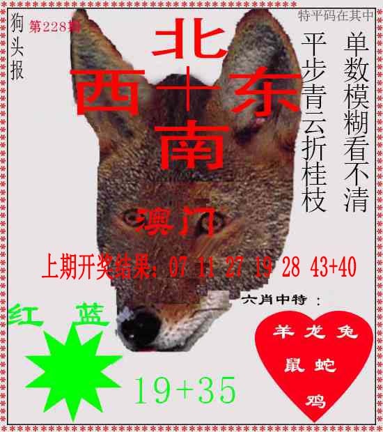 228期狗头报[图]