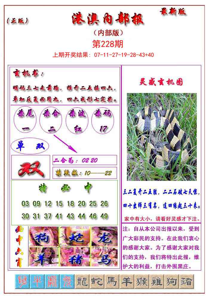 228期港澳报[图]