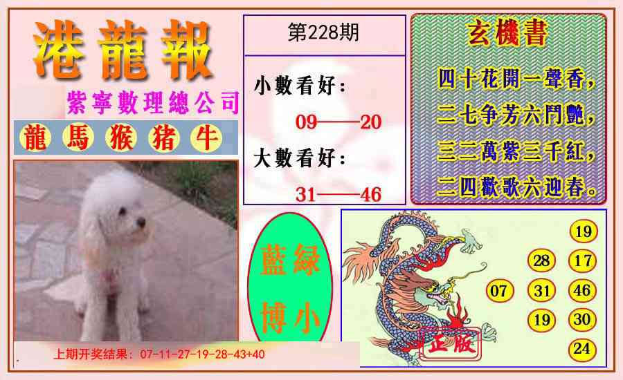 228期港龙报[图]
