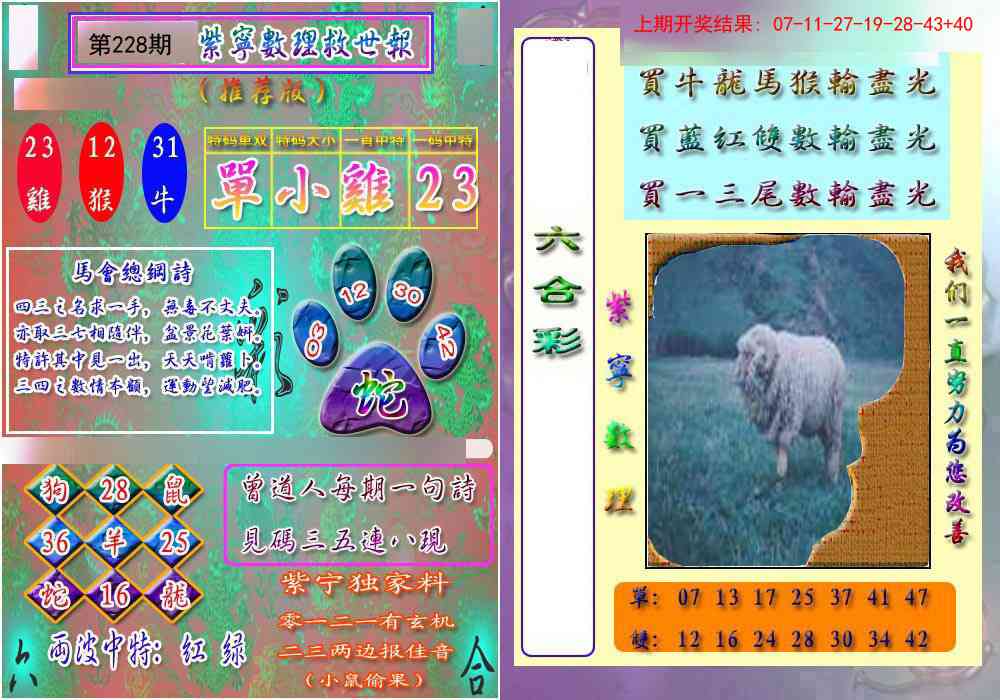 228期数理救世报[图]