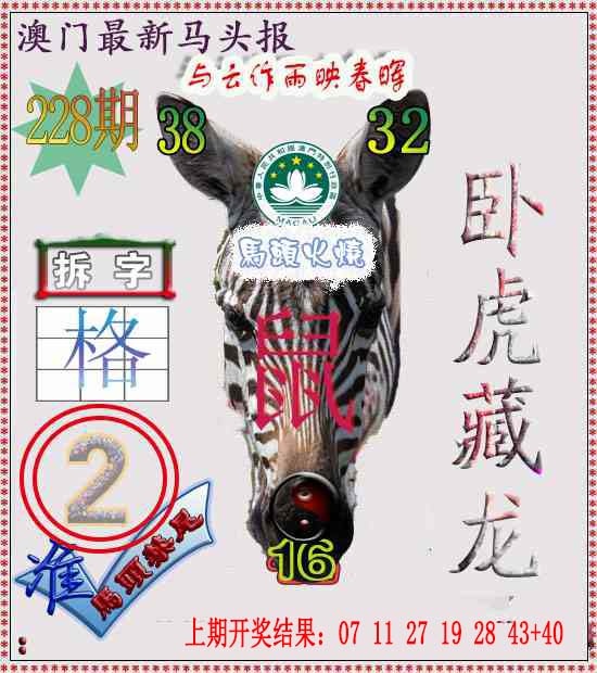 228期马头报[图]