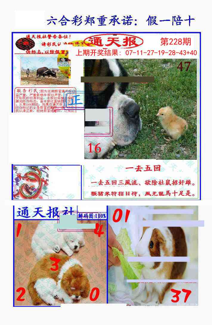 228期假一陪十通天报[图]