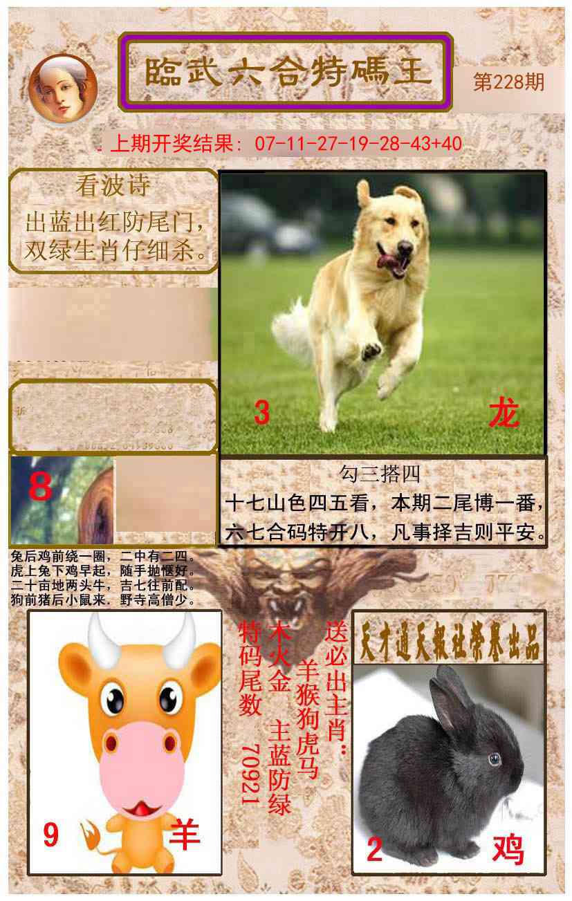 228期临武六合特码王[图]