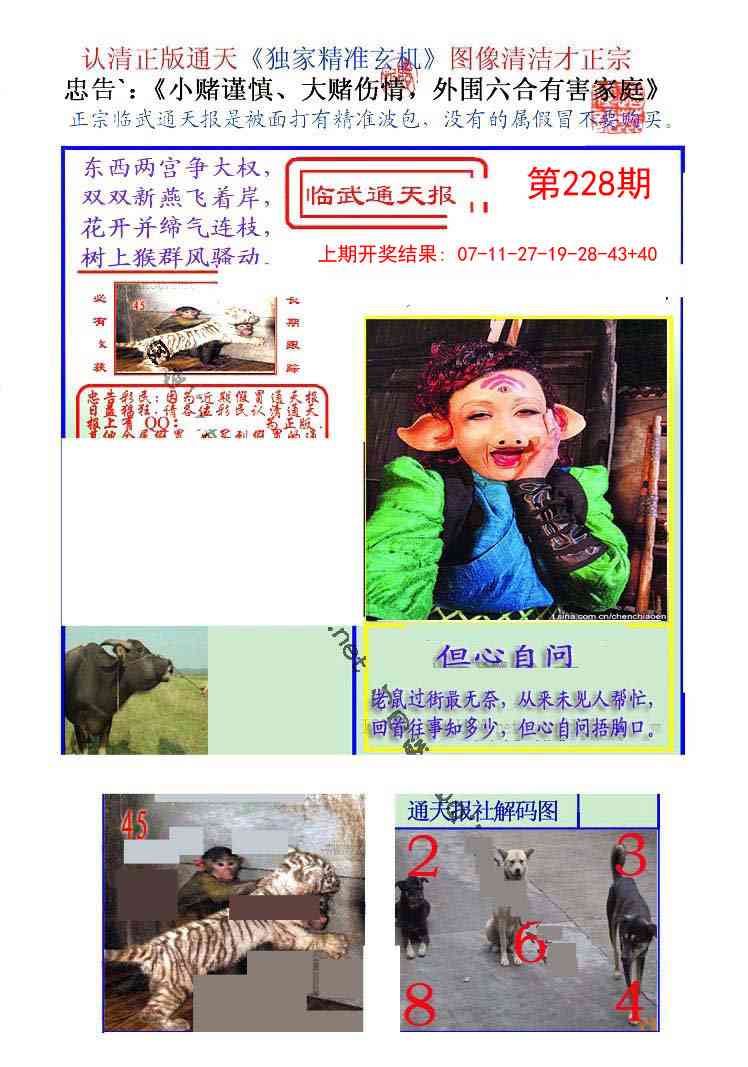 228期临武通天报[图]