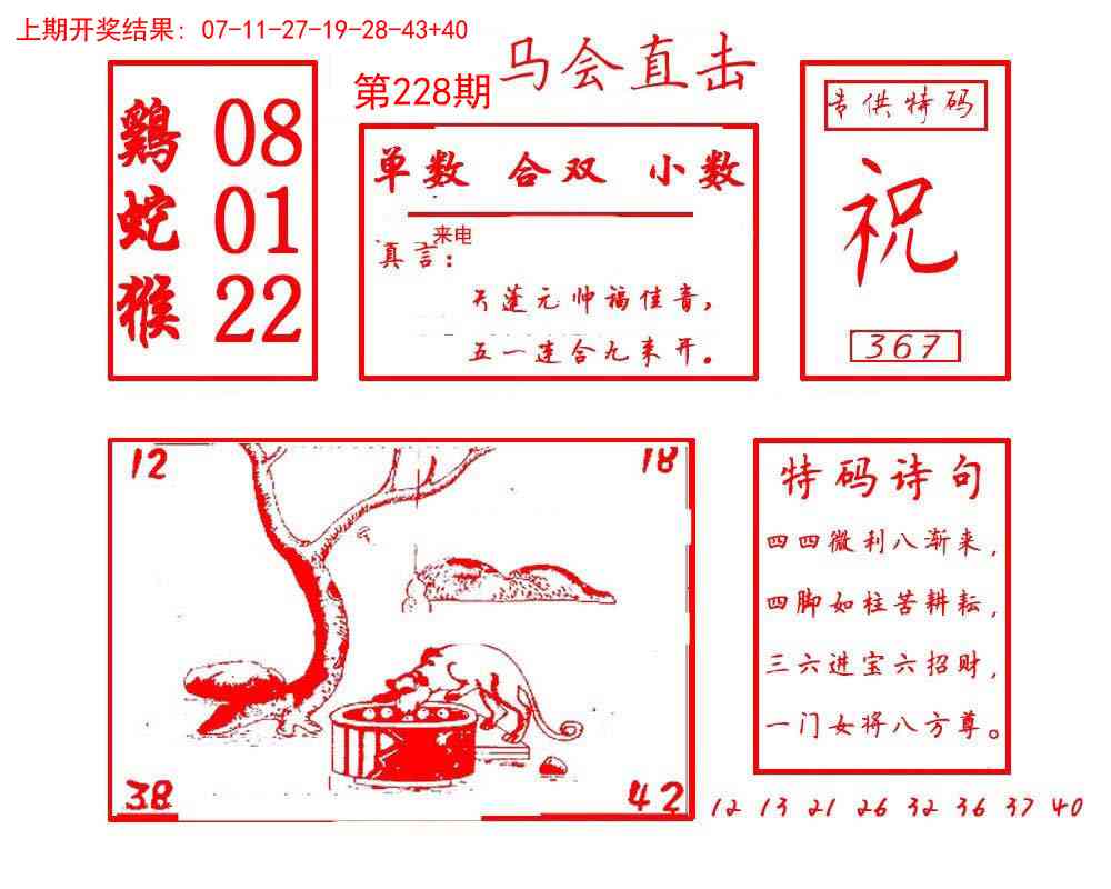 228期马会直击[图]