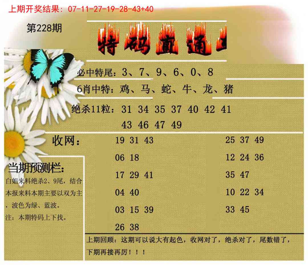 228期特码直通车[图]