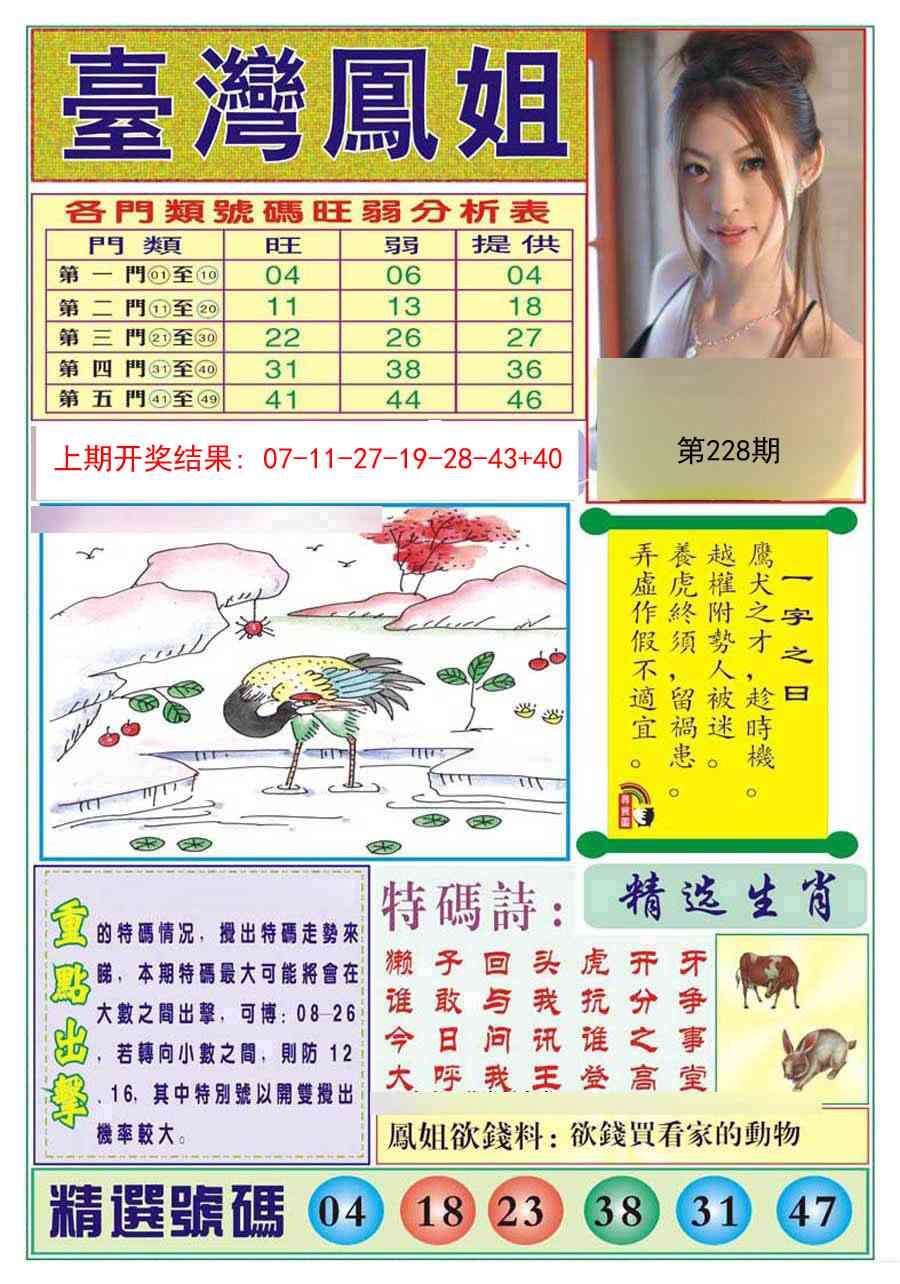 228期台湾凤姐[图]