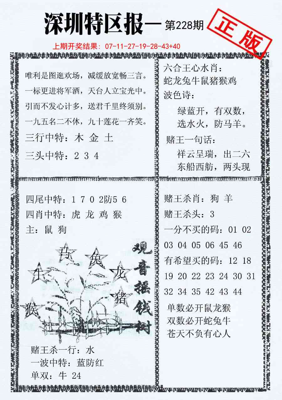 228期深圳特区报A[图]