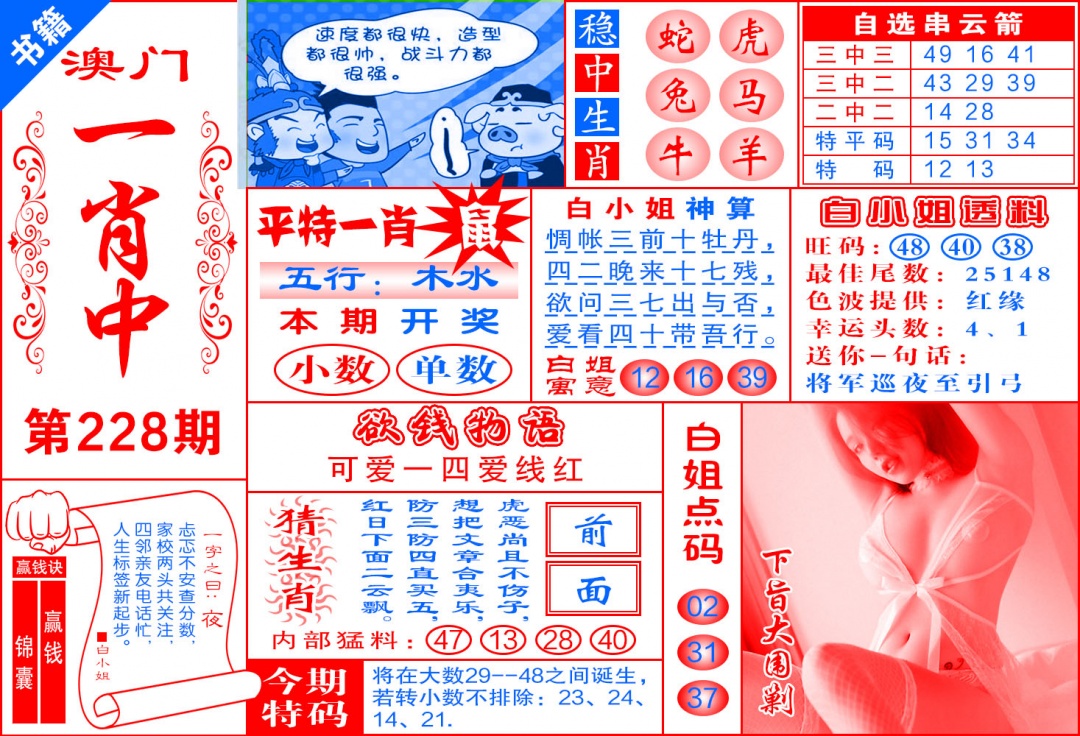 228期澳门锦囊宝典[图]