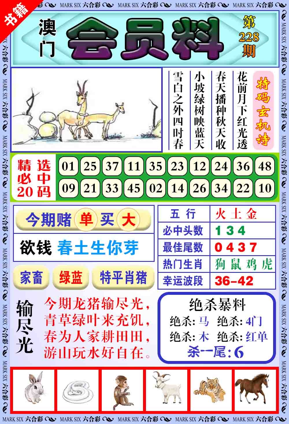 228期澳门银宝典[图]