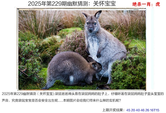 229期幽默猜测[图]