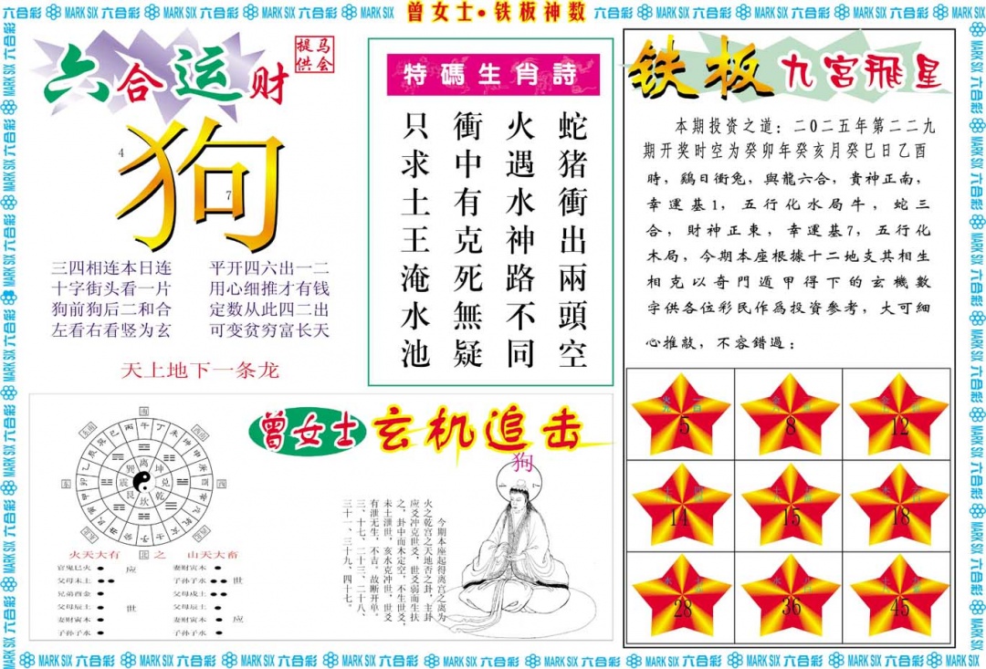 229期曾女士铁板神数B[图]