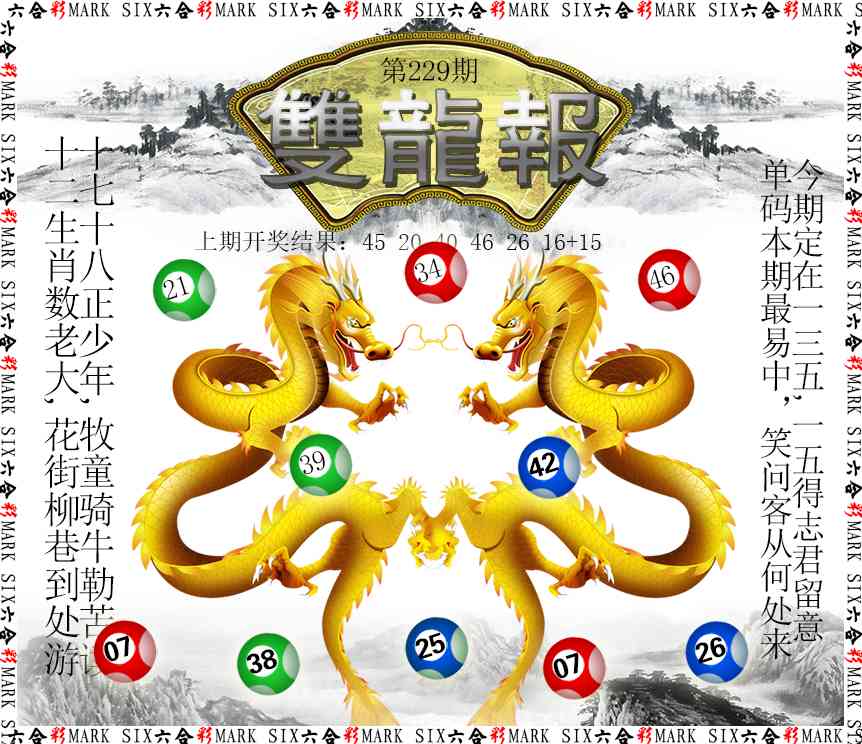 229期双龙报[图]