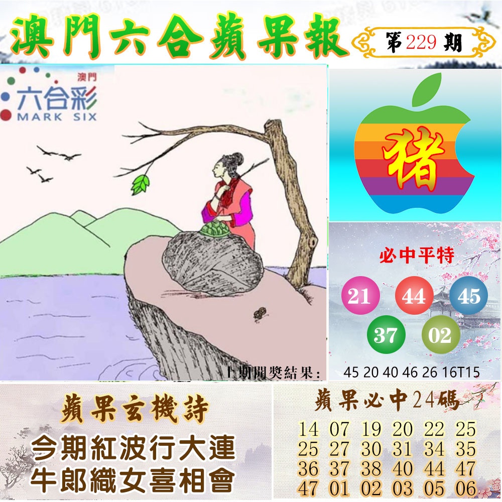 229期苹果报[图]