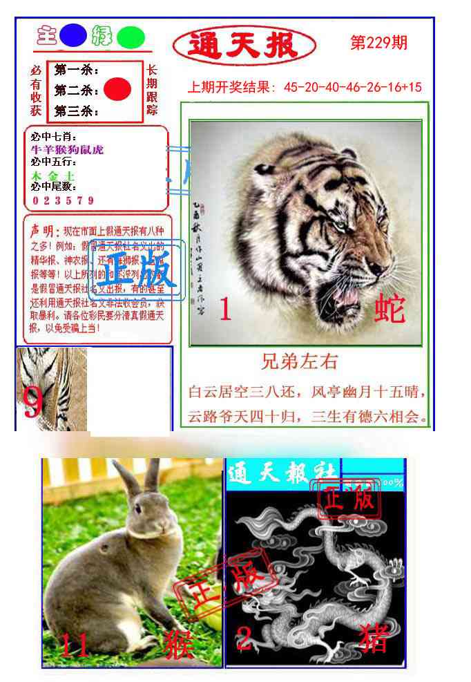 229期通天杀波图1[图]