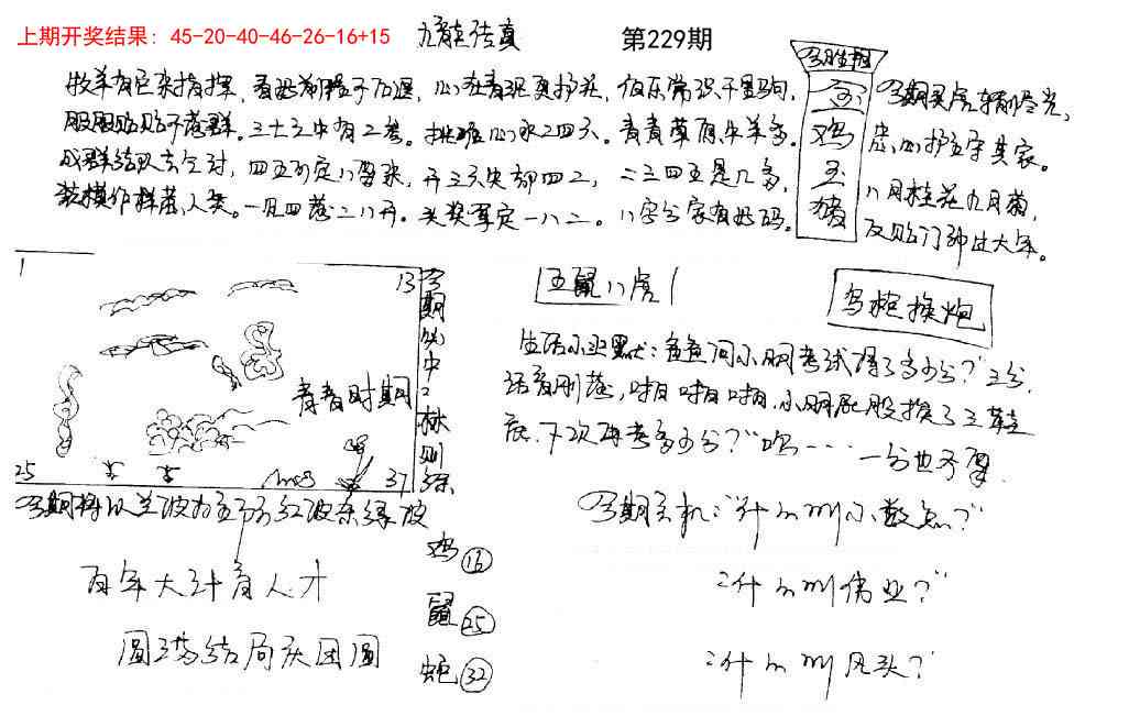 229期手写九龙内幕[图]