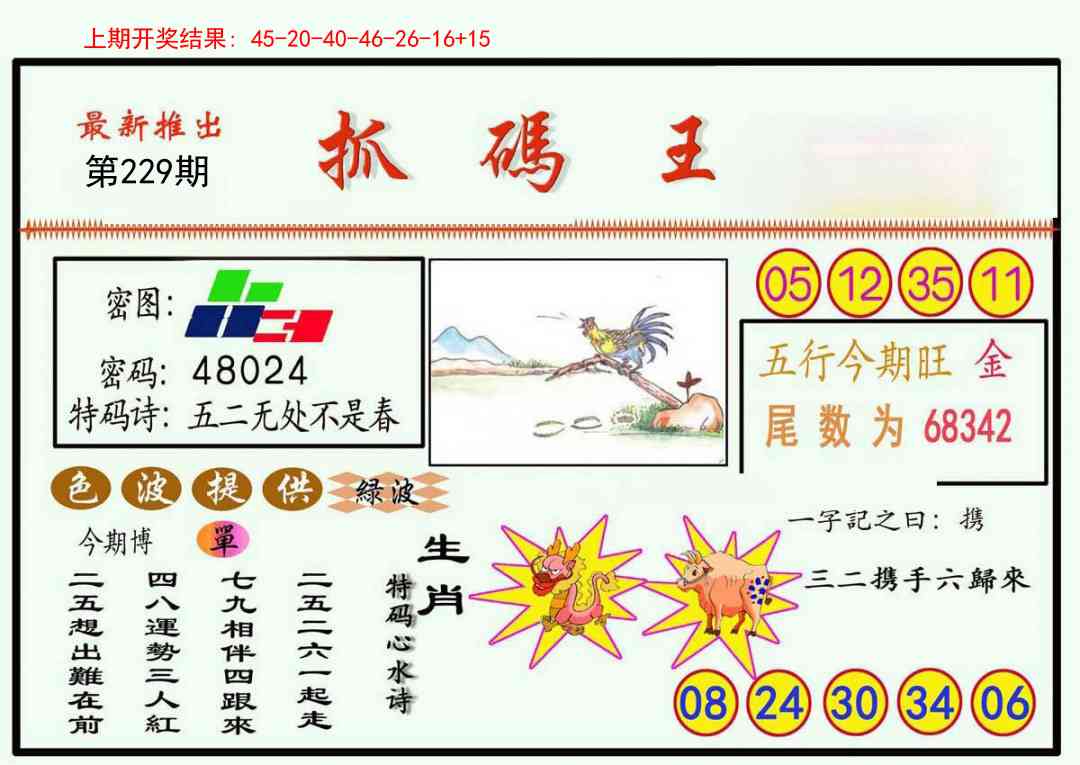 229期抓码王[图]