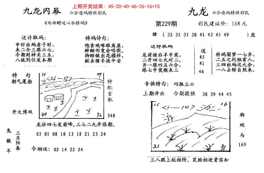 229期九龙内幕[图]