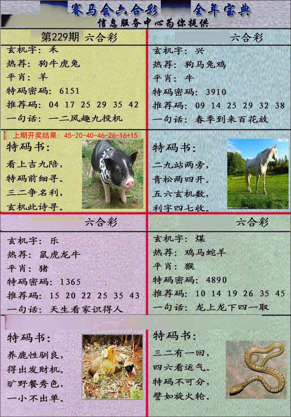 229期宝典报[图]