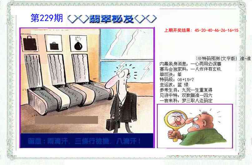 229期另翡翠秘笈[图]