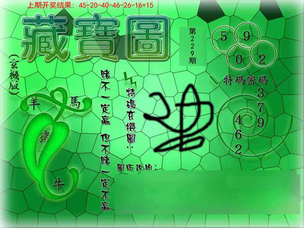 229期九龍玄机报[图]