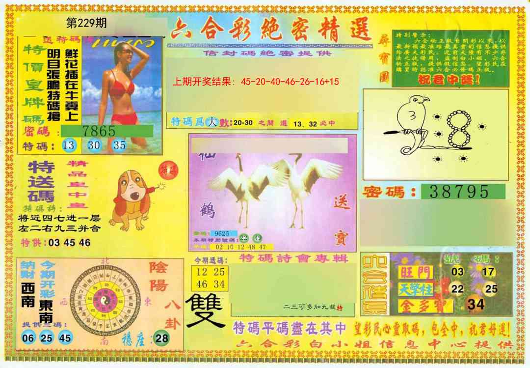 229期绝密精选A[图]