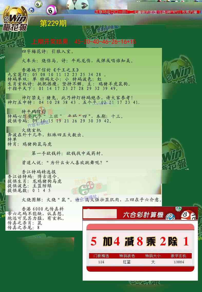 229期梅花报[图]