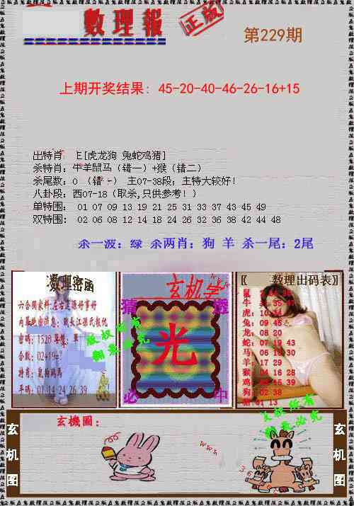 229期数理报[图]
