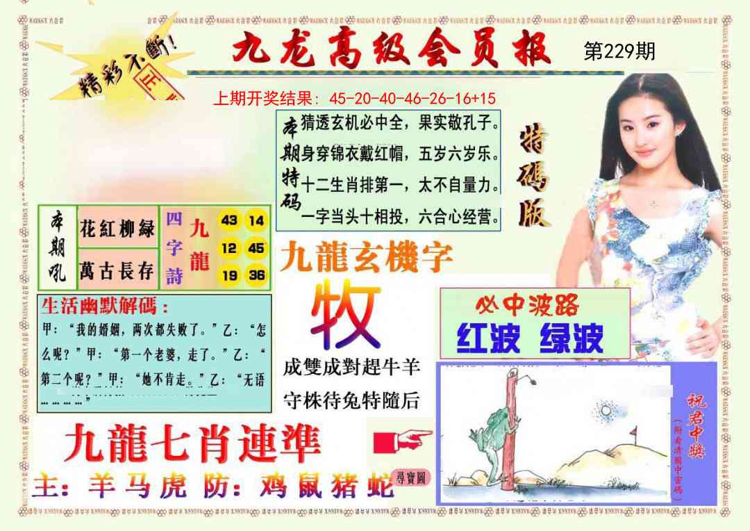 229期九龙高级会员报[图]