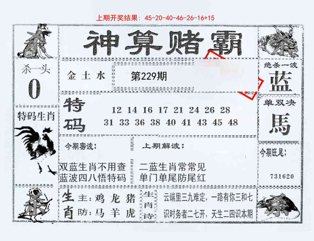 229期神算赌霸[图]