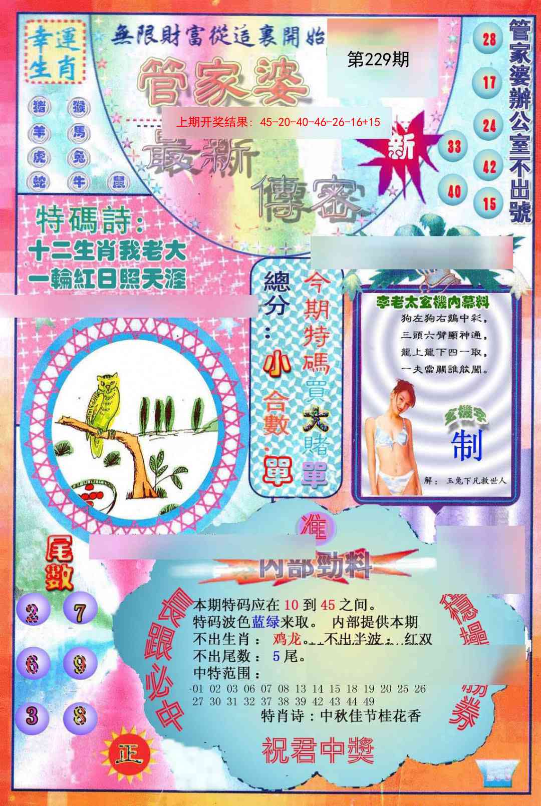 229期管家婆新传密[图]