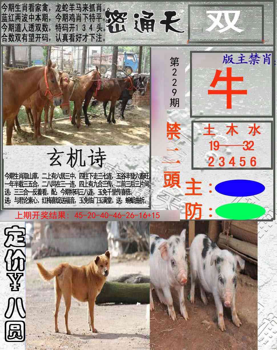 229期密通天[图]