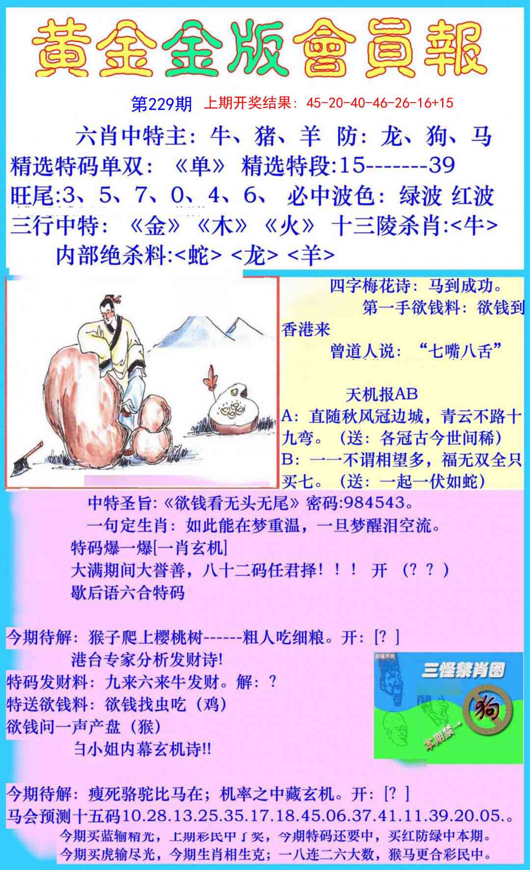 229期黄金金版会员报[图]