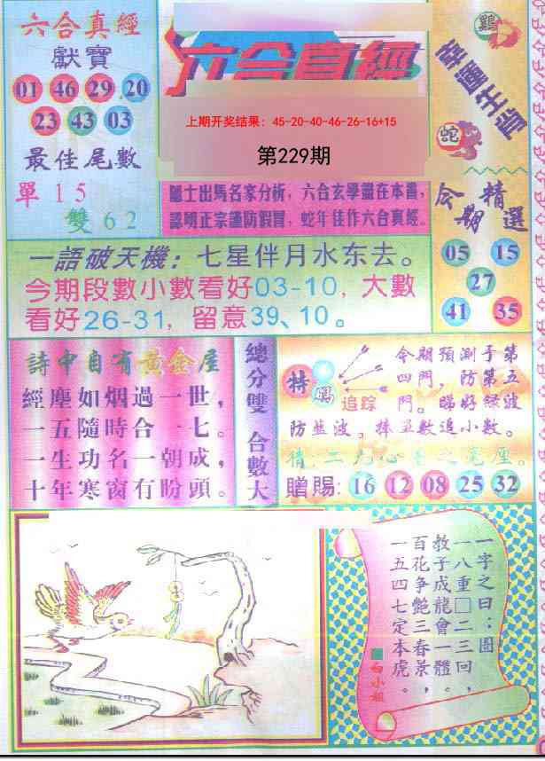 229期六合真经[图]