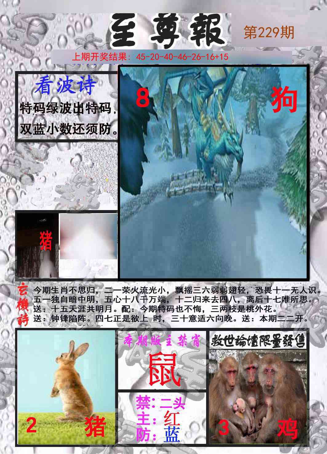 229期至尊报[图]