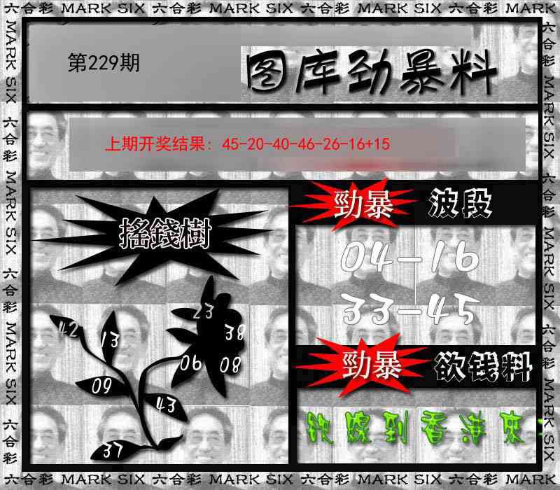 229期劲暴来料[图]