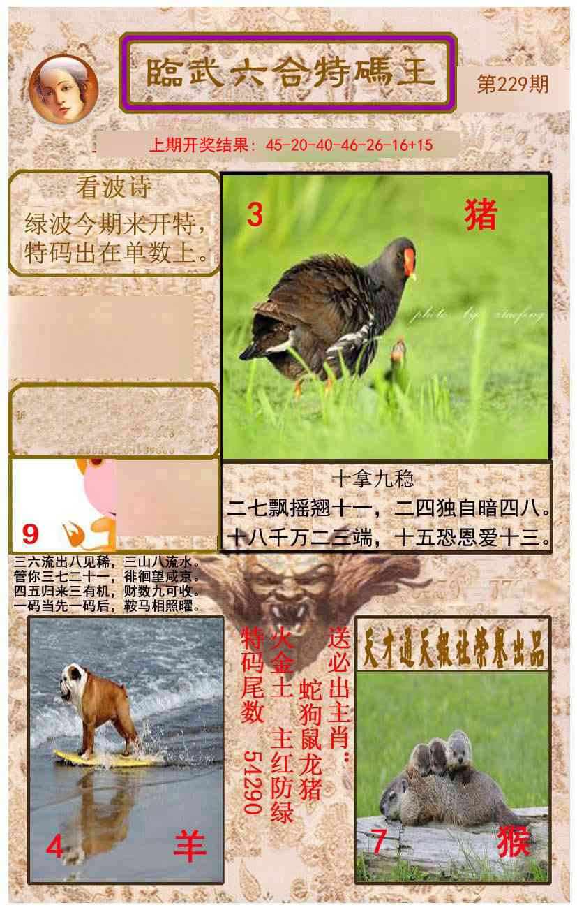 229期临武六合特码王[图]