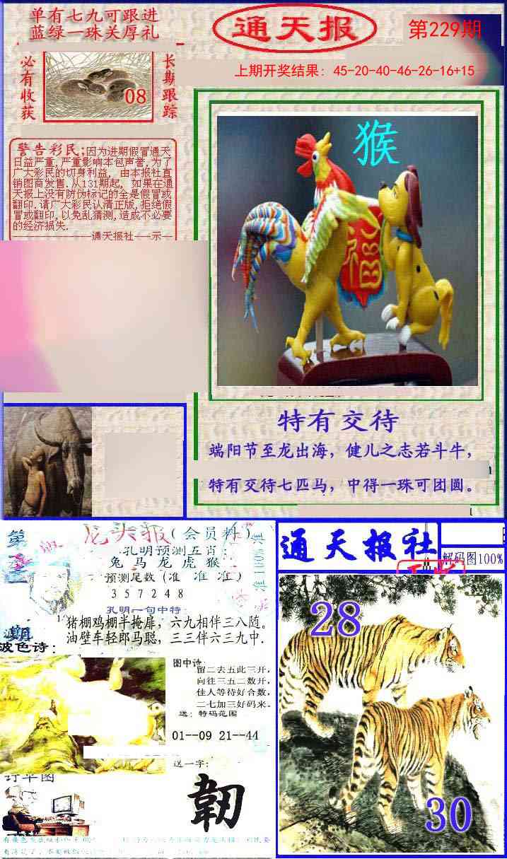 229期实力通天报[图]
