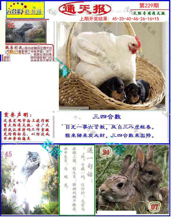 229期大陆通天报[图]
