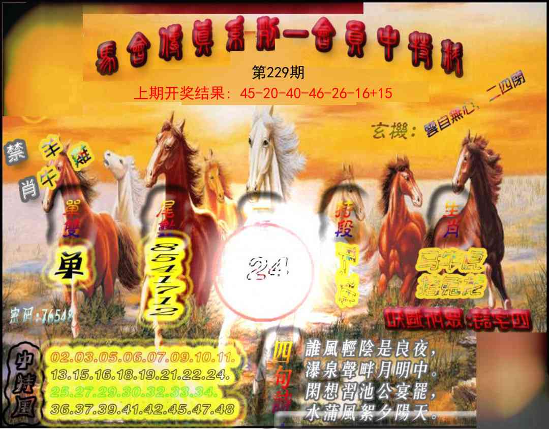 229期马会传真-会员报[图]