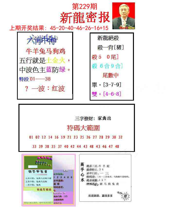 229期新龙密报[图]
