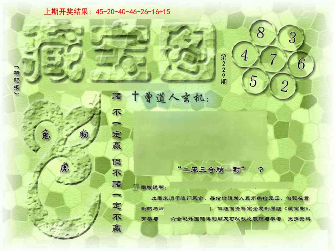 229期假新藏宝图[图]