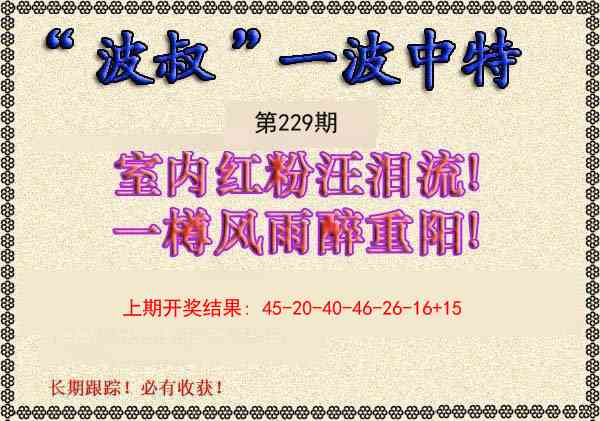 229期波叔一波中特[图]