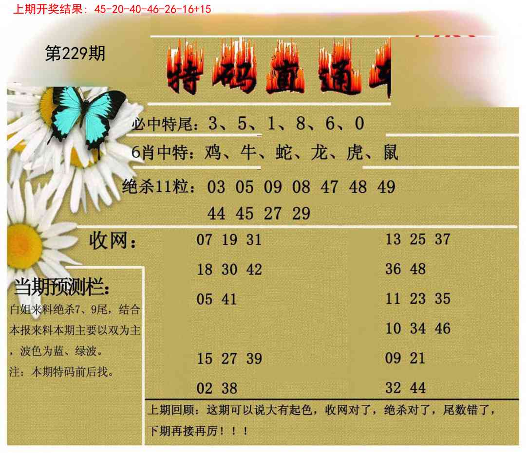 229期特码直通车[图]