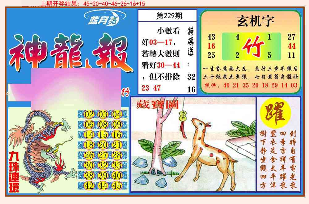 229期神龙报[图]