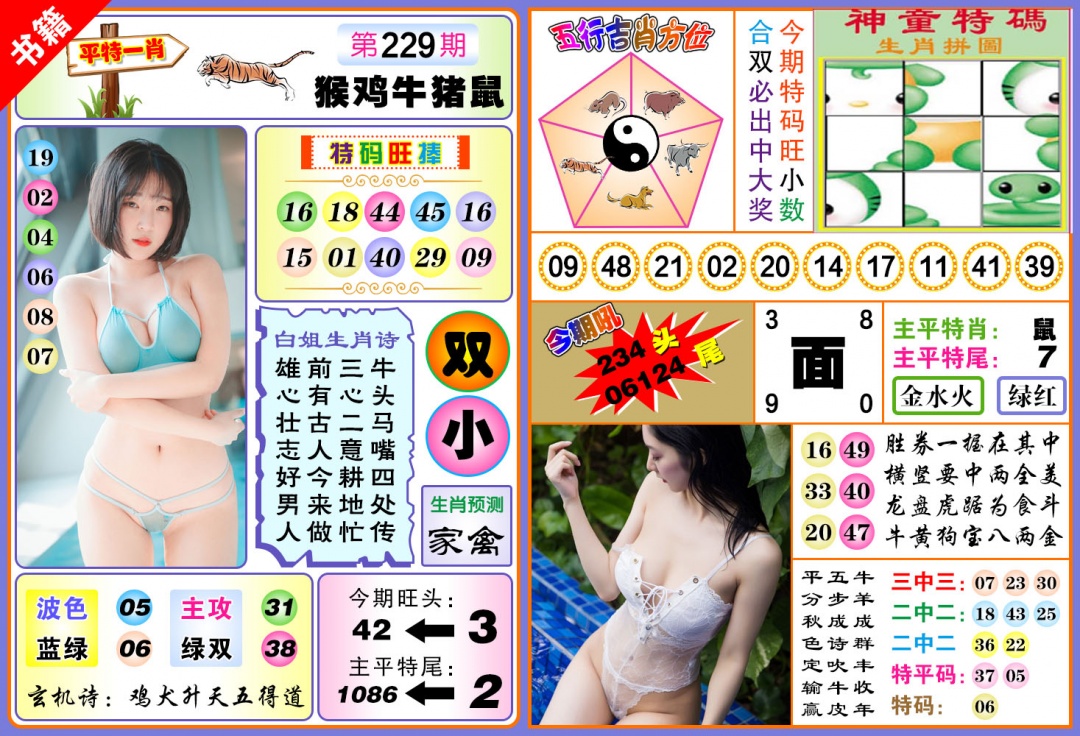 229期澳门五行白姐[图]