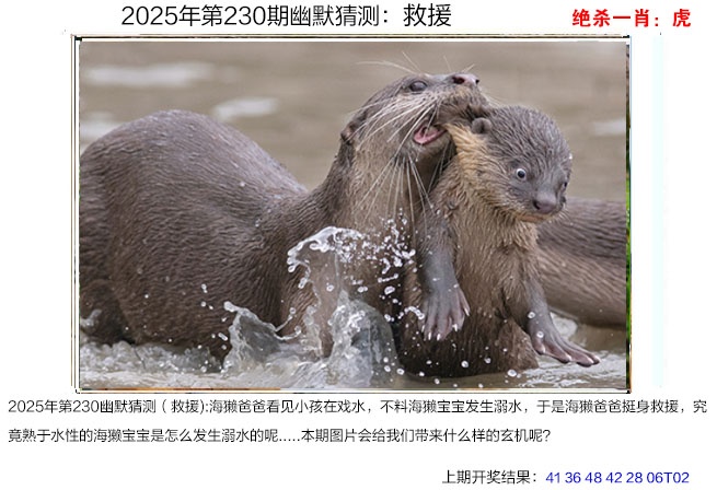 230期幽默猜测[图]