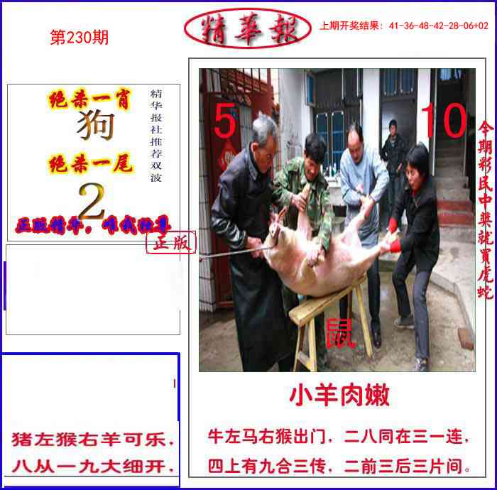 230期新精华报报[图]