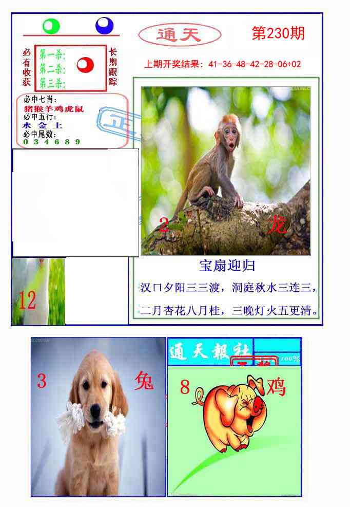 230期通天杀波图2[图]