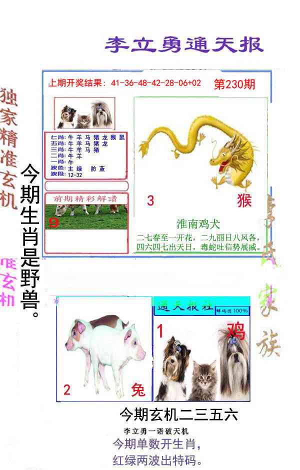 230期李立勇通天报[图]